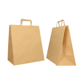 Customized 28x17x32 CM 28x17x32 CM | BOX PAPER BAG| FLEXO PRINTING IN ONE COLOR ON PRE-DEFINED AREAS ON BOTH SIDES