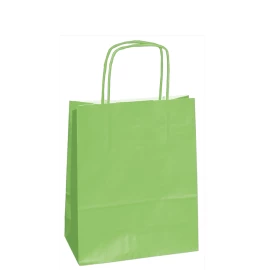 Customized 22x10x29 22x10x29 CM | PAPER BAG SAFARI | FLEXO PRINTING IN ONE COLOR ON PRE-DEFINED AREAS ON BOTH SIDES