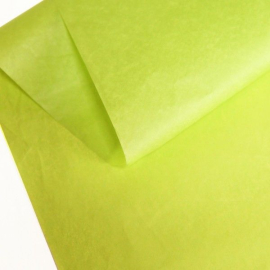 Accessoires Papier de soie