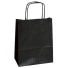 Customized Bags FSC paper bag Safari