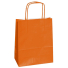 Customized Bags FSC paper bag Safari