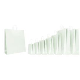 Customized Bags FSC paper bag Safari