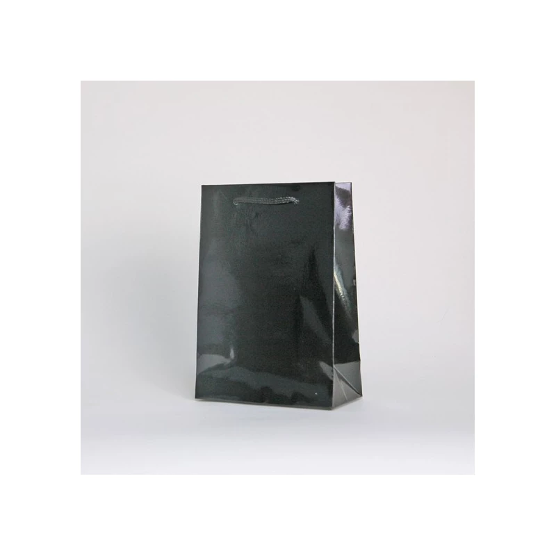 LAMINATED NOBLESSE BAG | LUXURY PAPER BAG