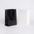 LAMINATED NOBLESSE BAG | LUXURY PAPER BAG