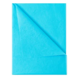 PAPIER DE SOIE | 50X75 CM