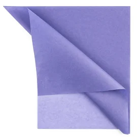 PAPIER DE SOIE | 50X75 CM