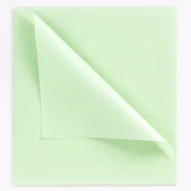 PAPIER DE SOIE | 50X75 CM