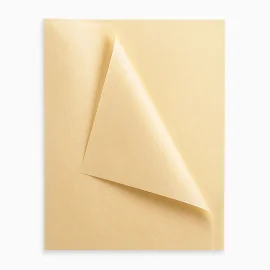 TISSUE PAPER | 50X75 CM