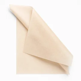 TISSUE PAPER | 50X75 CM