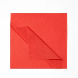 TISSUE PAPER | 50X75 CM