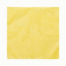 Luxurious Silkpaper delivered by racks of ± 470 sheets.