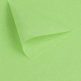 Papier de soie luxueux livré en paquet de ± 470 feuilles.