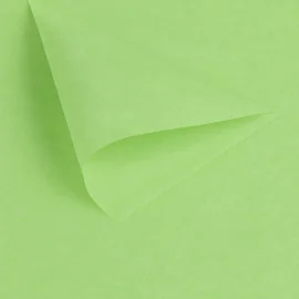 Papier de soie luxueux livré en paquet de ± 470 feuilles.