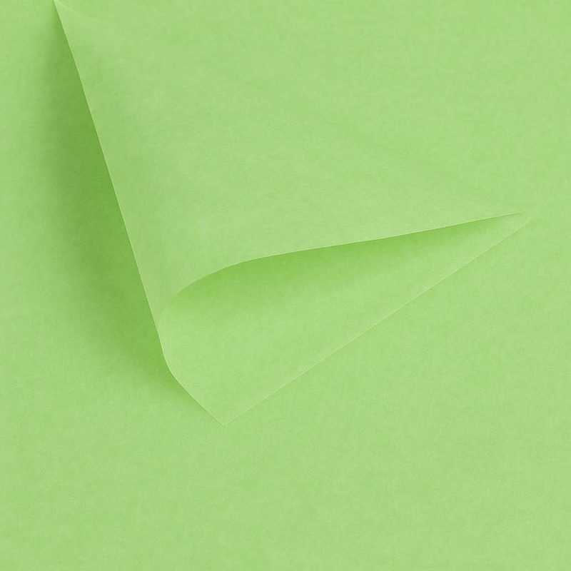 Papier de soie luxueux livré en paquet de ± 470 feuilles.