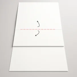 WONDERBOX | 60X45X26 CM | LUXURY BOX