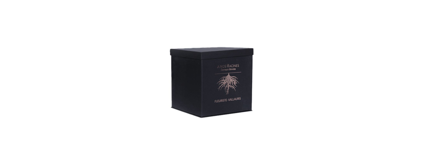Rigid cardboard gift boxes - Flowerbox and Smartflat